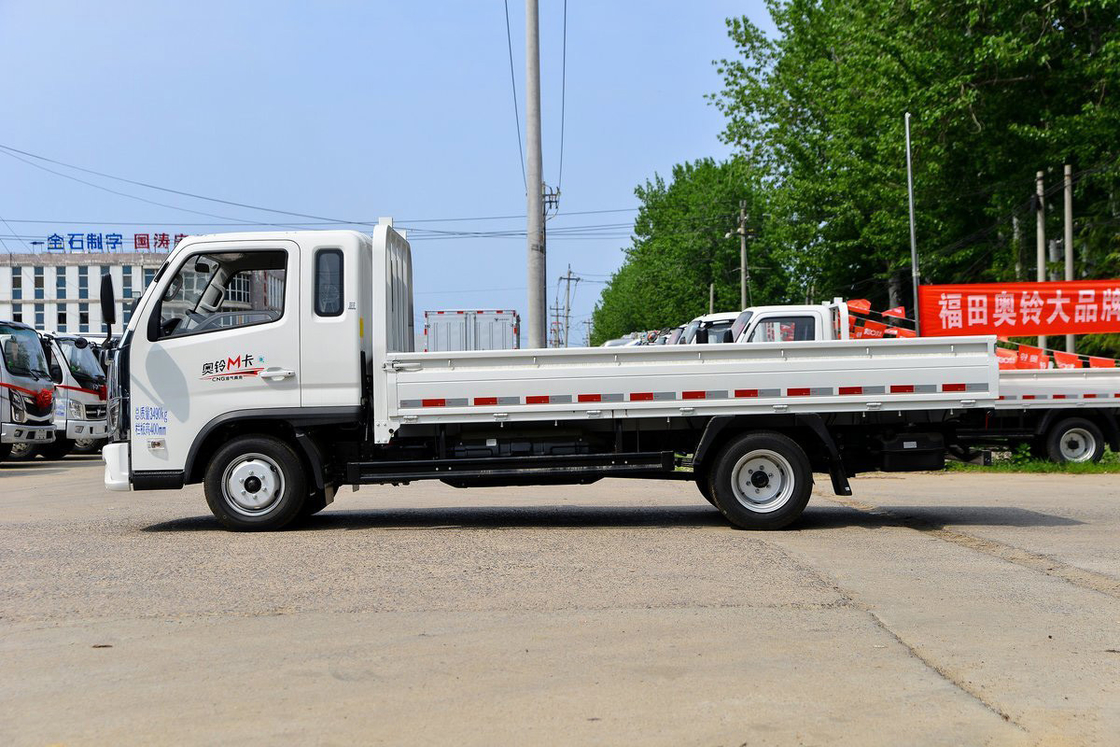 포톤 아우만 라이트 트럭 2.0L 127HP CNG 3.94m 유로 6 5 기어 싱글 라인 좌석 뒷문 화물 상자