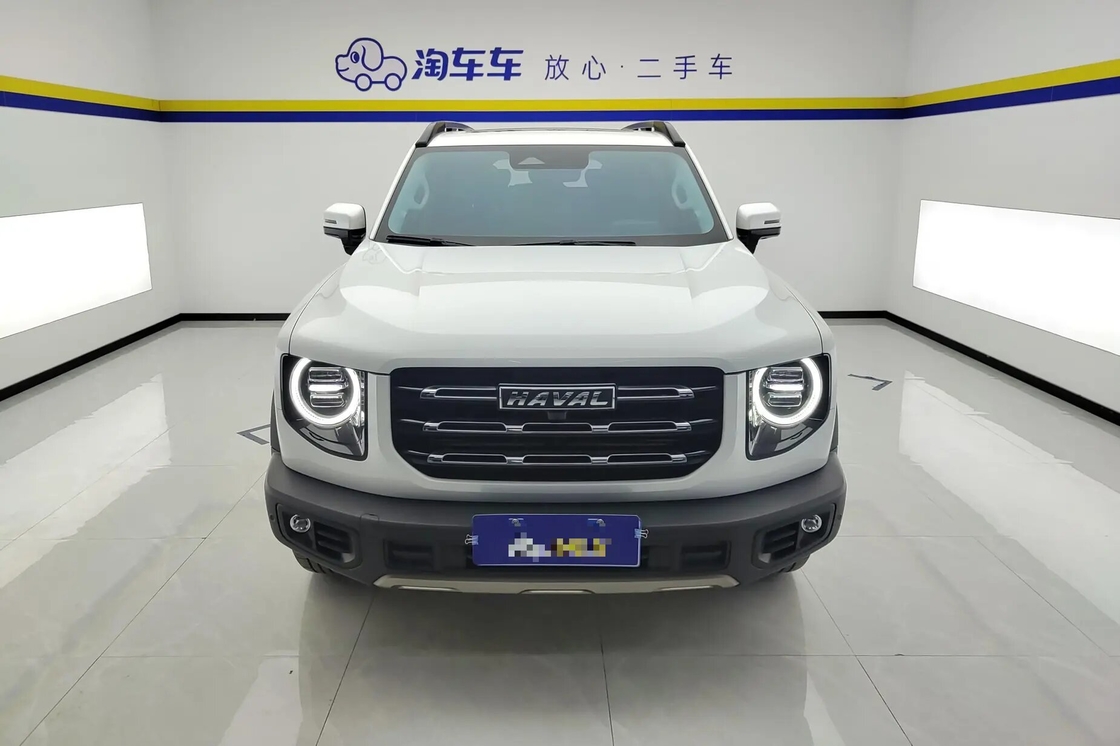 저렴한 하발 빅 독 2021 1.5T 2WD 보더 콜리 에디션 판매 2륜 구동 럭셔리 가족용