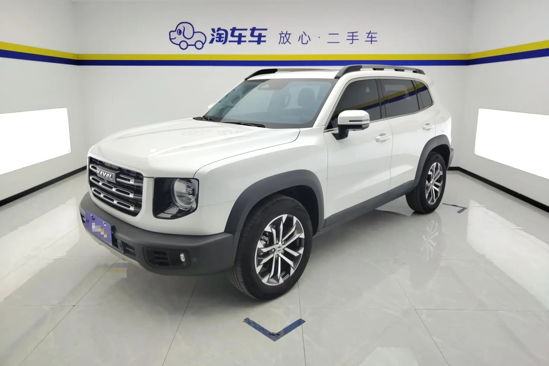 저렴한 하발 빅 독 2021 1.5T 2WD 보더 콜리 에디션 판매 2륜 구동 럭셔리 가족용