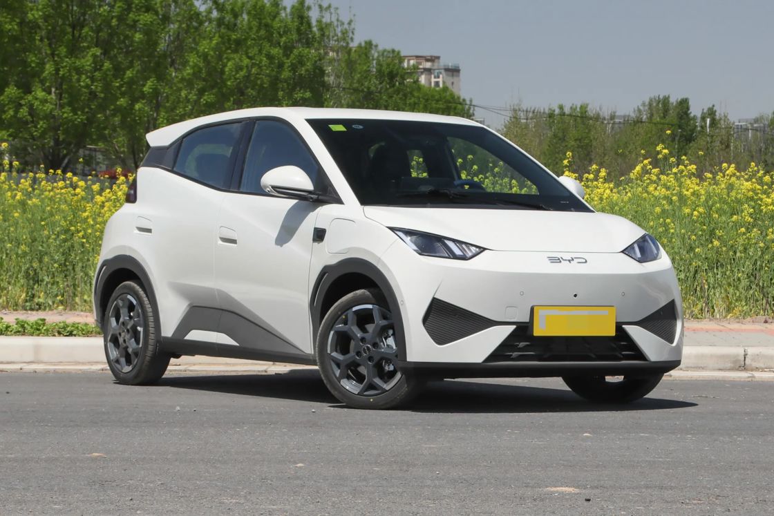 저렴한 새 BYD 세이글 소형차 2025 전기 2WD 가족용 수출용